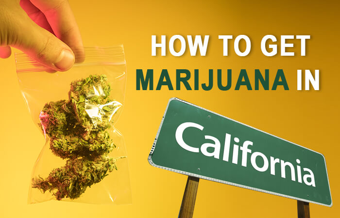 How to Get Marijuana in California