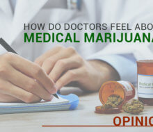 How do Doctors Feel About Medical Marijuana