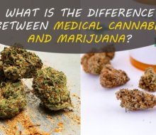 What is the Difference Between Medical Cannabis and Marijuana?