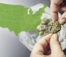 Which States Allow Out-of-State Patients to Buy Medical Marijuana?
